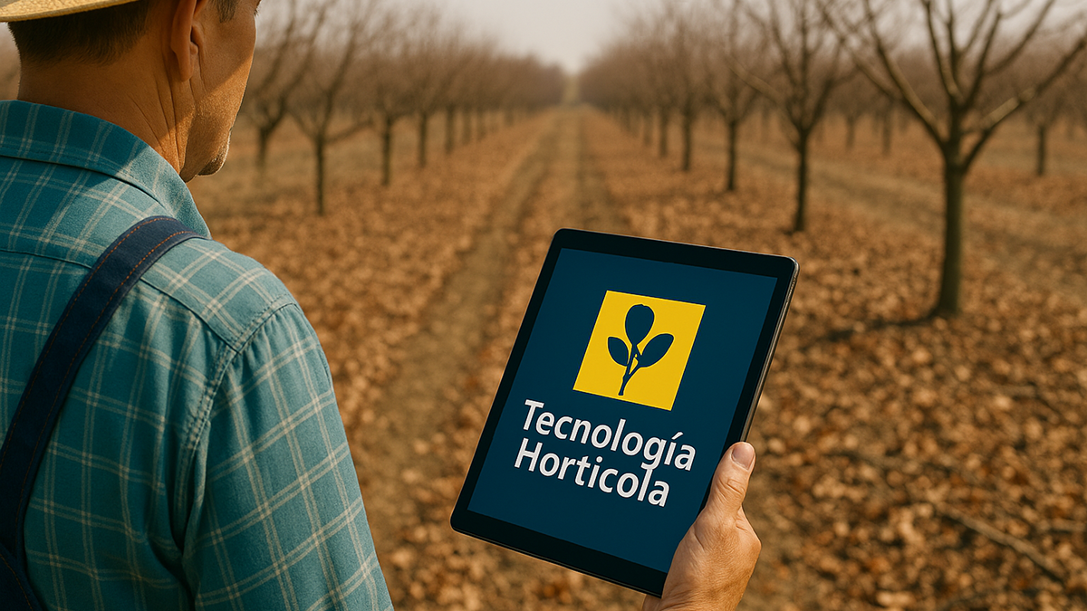 ChatGPT Image 24 nov 2025, 16_11_44.png